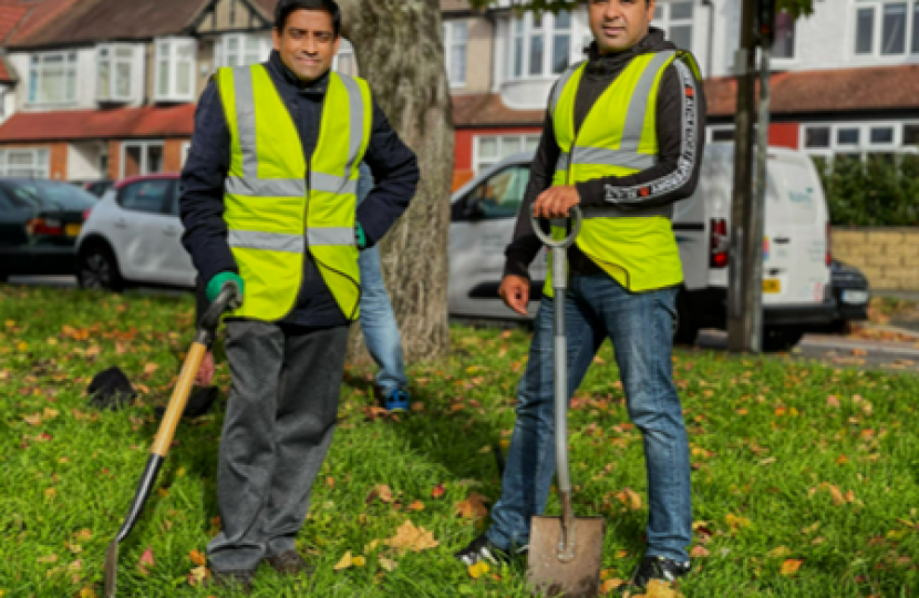 Daffodil Planting